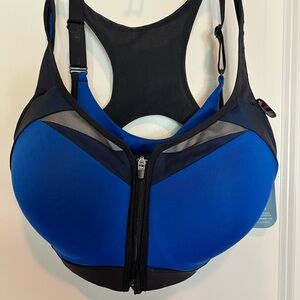 Champion Black and Blue Sports Bra